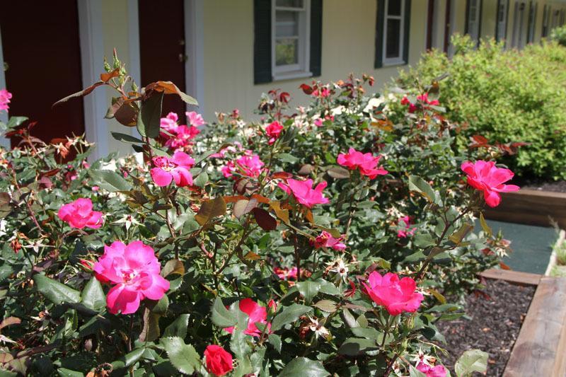 Lodge at Kennebunk Exterior foto